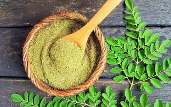 Moringa-Herbs-herbs